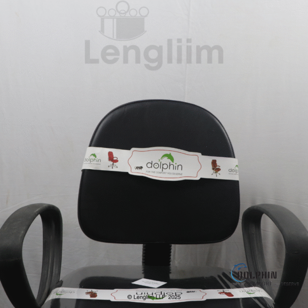 Dolphin DF 114 Budget Office Chair (Leatherite, Black) Back Rest View