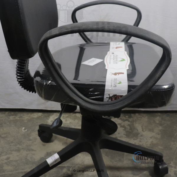 Dolphin DF 114 Budget Office Chair (Leatherite, Black) Arm View