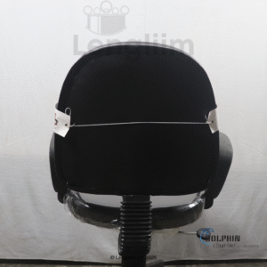 Dolphin DF 114 Budget Office Chair (Leatherite, Black) Back View