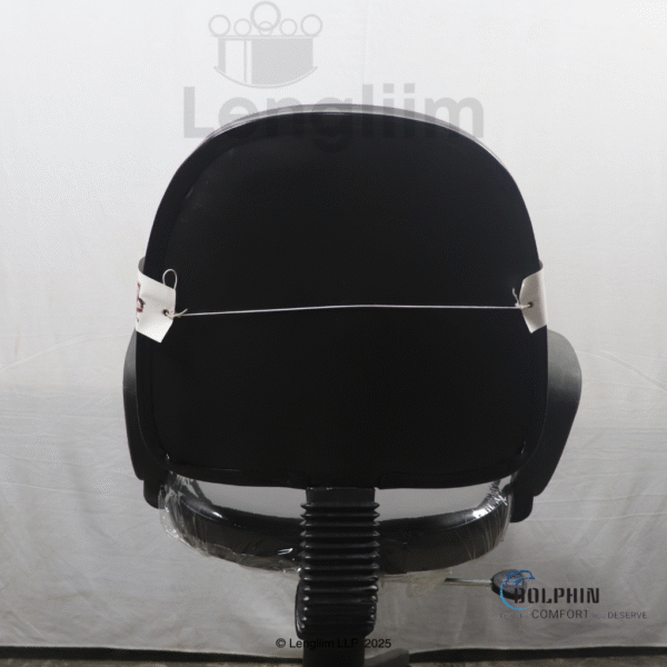 Dolphin DF 114 Budget Office Chair (Leatherite, Black) Back View