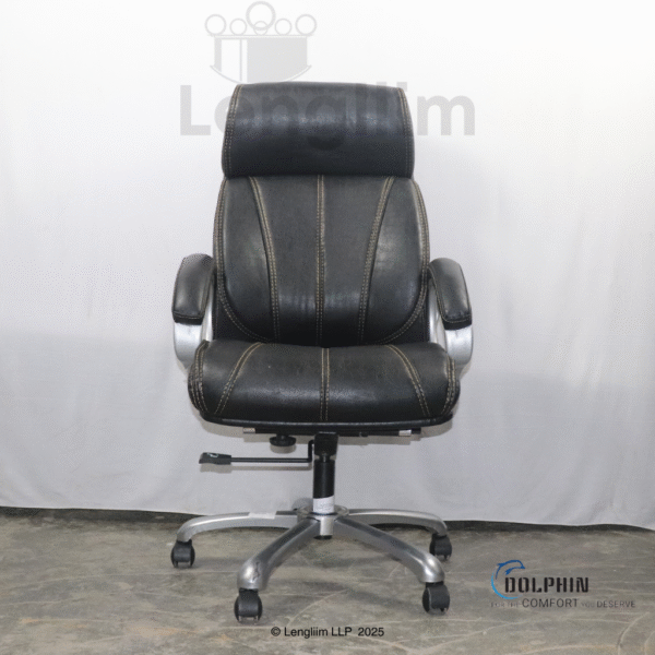 Dolphin DF 33 Premium Executive Office Chair (Leatherite, Black) Front View