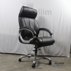 Dolphin DF 33 Premium Executive Office Chair (Leatherite, Black) Front Angle View