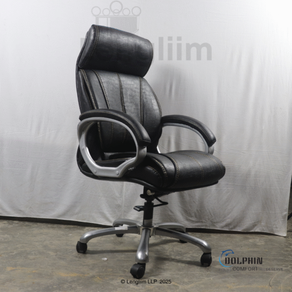 Dolphin DF 33 Premium Executive Office Chair (Leatherite, Black) Front Angle View