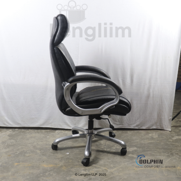 Dolphin DF 33 Premium Executive Office Chair (Leatherite, Black) Side View