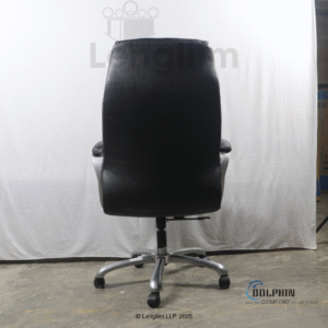 Dolphin DF 33 Premium Executive Office Chair (Leatherite, Black) Back View