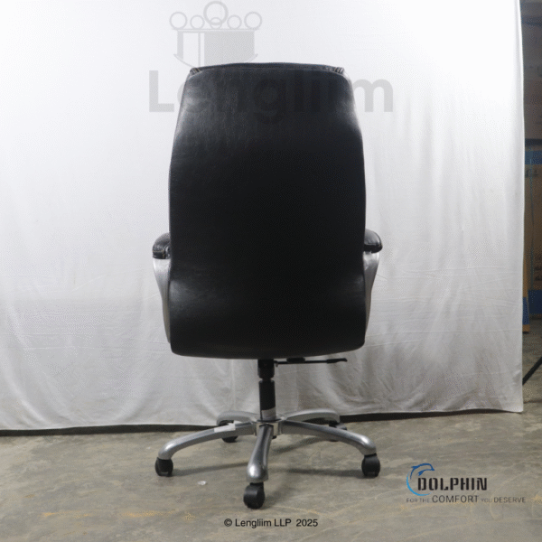 Dolphin DF 33 Premium Executive Office Chair (Leatherite, Black) Back View