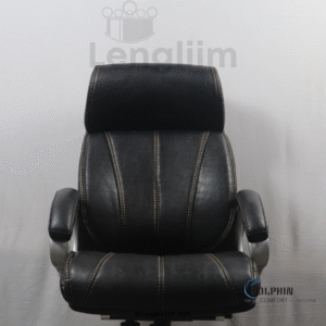 Dolphin DF 33 Premium Executive Office Chair (Leatherite, Black) Back Rest View