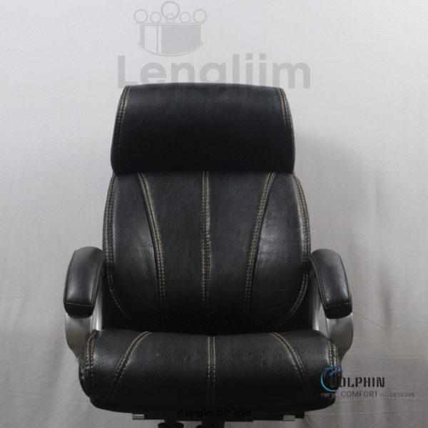 Dolphin DF 33 Premium Executive Office Chair (Leatherite, Black) Back Rest View