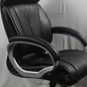 Dolphin DF 33 Premium Executive Office Chair (Leatherite, Black) Arm Rest View