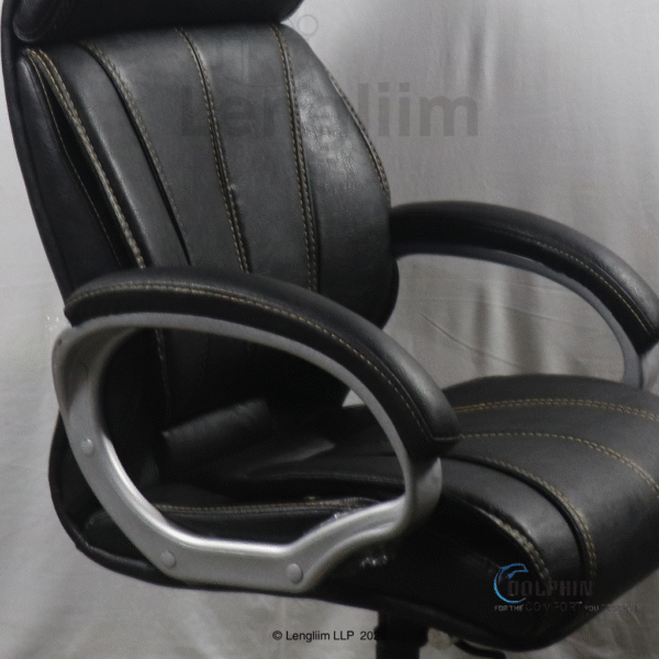 Dolphin DF 33 Premium Executive Office Chair (Leatherite, Black) Arm Rest View