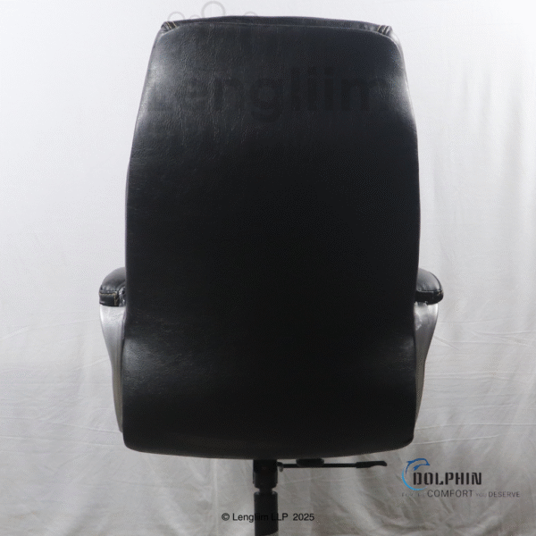 Dolphin DF 33 Premium Executive Office Chair (Leatherite, Black) Back View