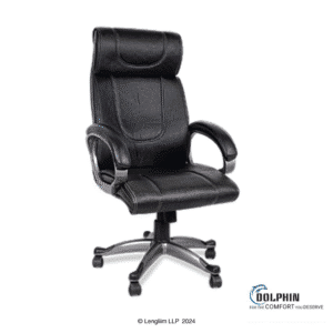 Dolphin DF 60 Executive Office Chair (Leatherite, Black) Company Image