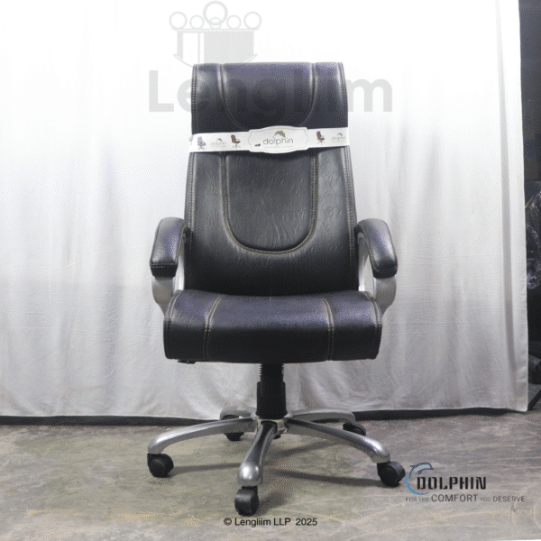 Dolphin DF 60 Executive Office Chair (Leatherite, Black) Front View
