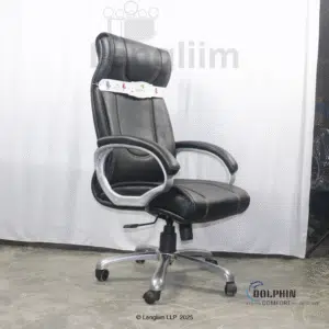 Dolphin DF 60 Executive Office Chair (Leatherite, Black) Front Angle View