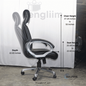 Dolphin DF 60 Executive Office Chair (Leatherite, Black) Side Dimensions