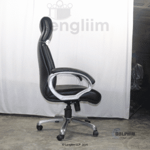 Dolphin DF 60 Executive Office Chair (Leatherite, Black) Side View