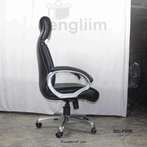 Dolphin DF 60 Executive Office Chair (Leatherite, Black) Side View