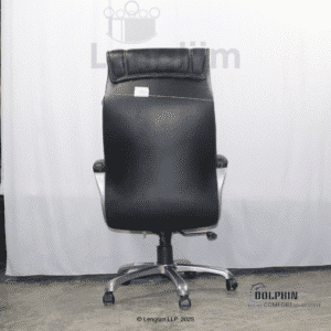 Dolphin DF 60 Executive Office Chair (Leatherite, Black) Back View
