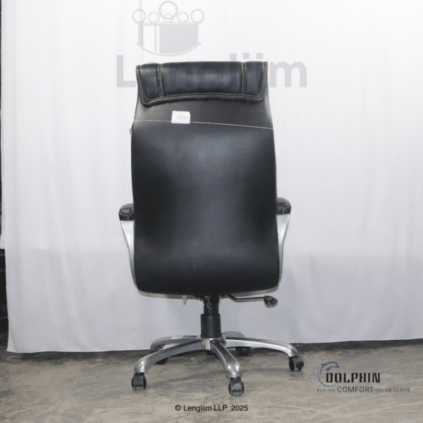 Dolphin DF 60 Executive Office Chair (Leatherite, Black) Back View