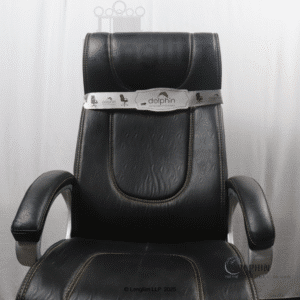Dolphin DF 60 Executive Office Chair (Leatherite, Black) Back Rest View
