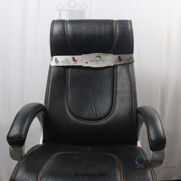 Dolphin DF 60 Executive Office Chair (Leatherite, Black) Back Rest View