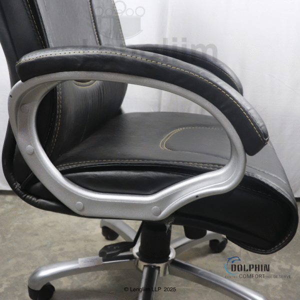 Dolphin DF 60 Executive Office Chair (Leatherite, Black) Arm Rest View
