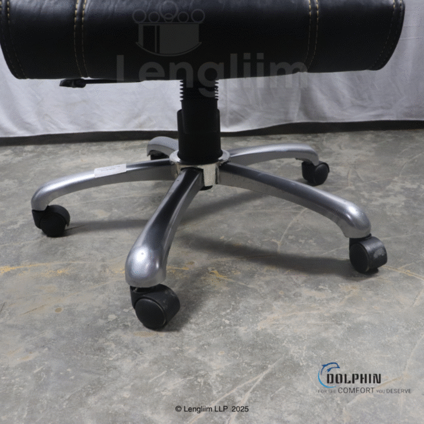 Dolphin DF 60 Executive Office Chair (Leatherite, Black) BaseStand View