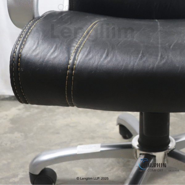 Dolphin DF 60 Executive Office Chair (Leatherite, Black) Seat Cushion