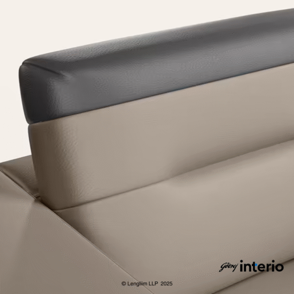 Godrej Interio Vespera 1 Seater Sofa (Synthetic Leather, Black Peanut) Back Rest View