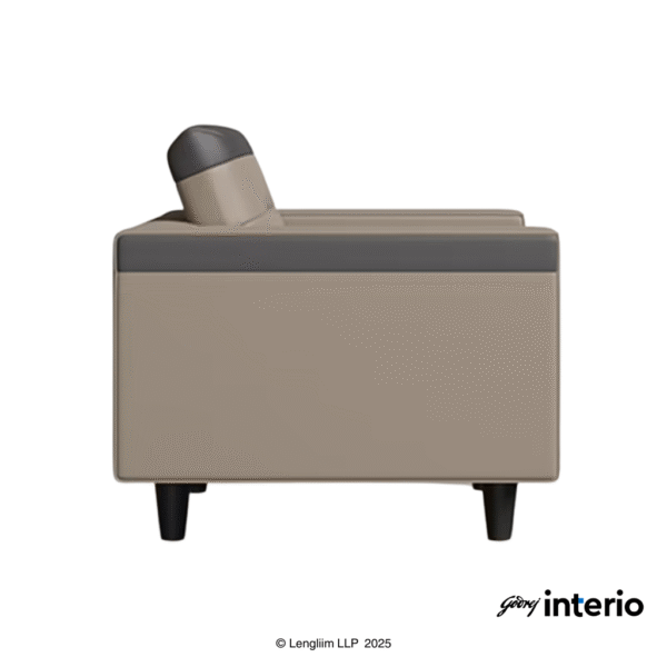 Godrej Interio Vespera 1 Seater Sofa (Synthetic Leather, Black Peanut) Side View
