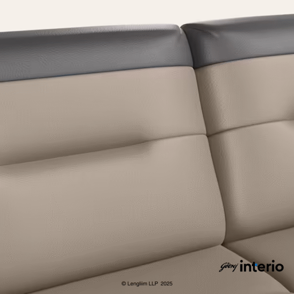 Godrej Interio Vespera 2 Seater Sofa (Synthetic Leather, Black Peanut) Back Rest View