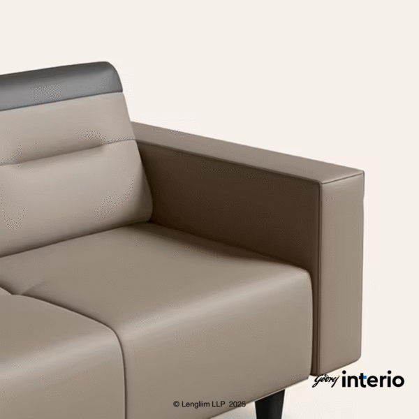 Godrej Interio Vespera 2 Seater Sofa (Synthetic Leather, Black Peanut) Arm Rest View