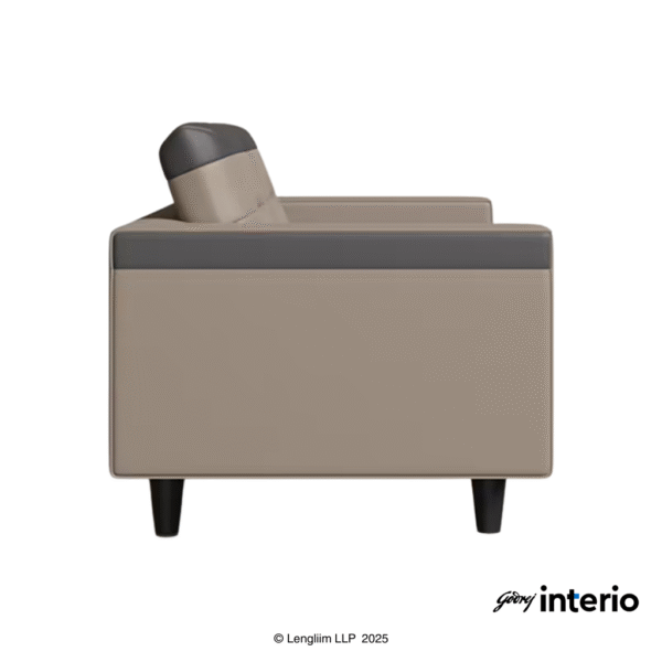 Godrej Interio Vespera 2 Seater Sofa (Synthetic Leather, Black Peanut) Side View