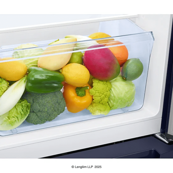 Samsung 189 Liters 5 Star Single Door Refrigerator (Midnight Blossom Blue, RR21C2H25UZHL) Vegetable Box