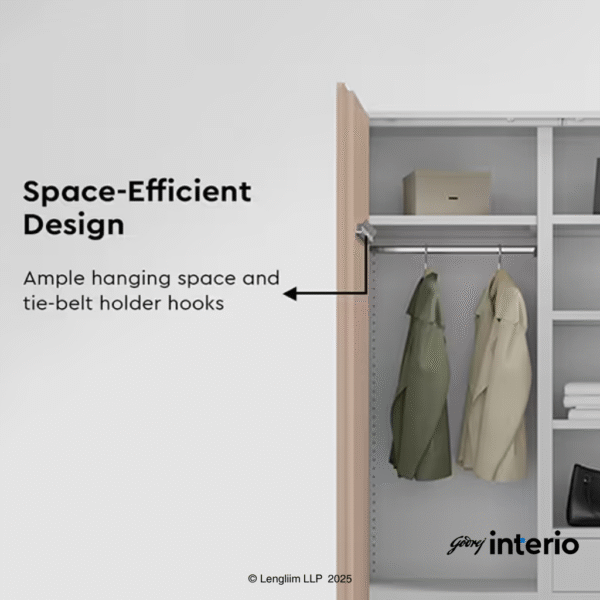 Godrej Interio Auraline Women Basic 2 Door Steel Almirah (Affogato Tex) Space Efficient Design