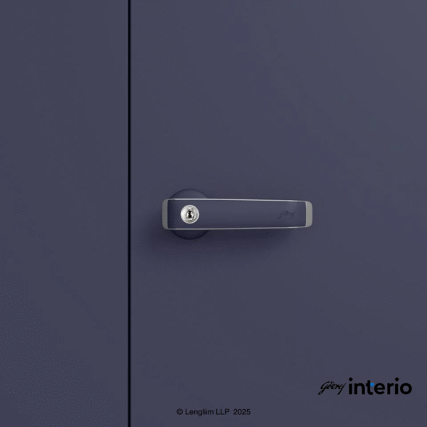 Godrej Interio Auraline Women Basic 2 Door Almirah (Navy Blue) Door Handle