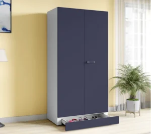 Godrej Interio Auraline Women Basic 2 Door Almirah (Navy Blue) Hassle-free cleaning and upkeep