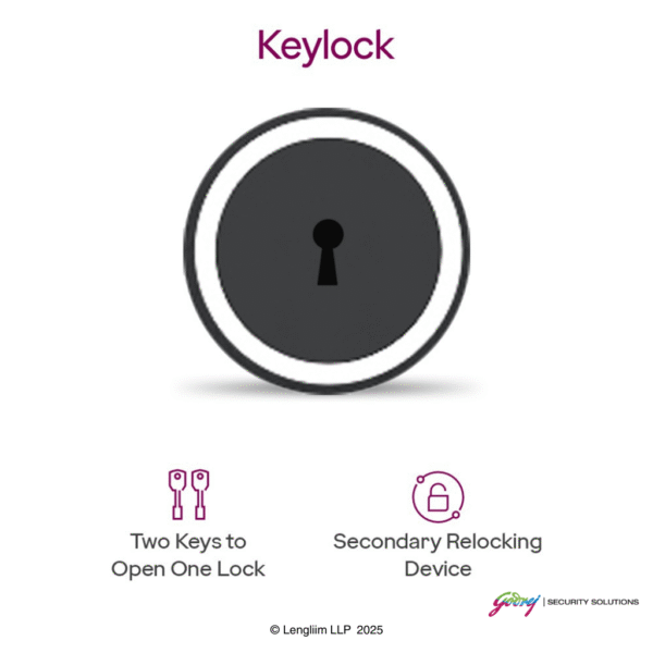 Godrej Matrix 1814 50 Liters Steel Home Locker Key Lock (1814 V6, Brown) Digital Biometric Lock System