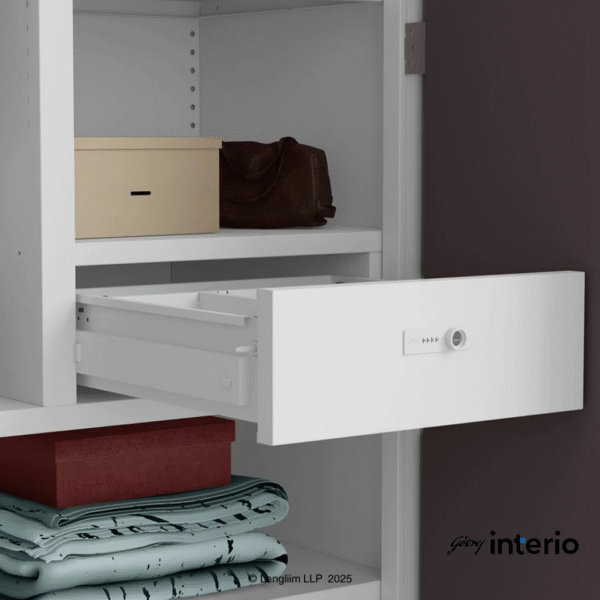 Godrej Interio Auraline Women Basic 2 Door Almirah (Coffee Brown) Drawer