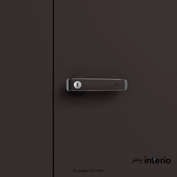 Godrej Interio Auraline Women Basic 2 Door Almirah (Coffee Brown) Handle