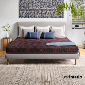 Godrej Interio Insignia SP Double Bed Foam Mattress (72 x 48 x 4 Inches)