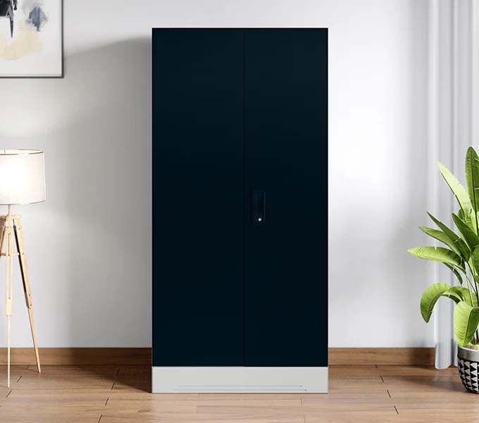 Godrej Interio Slimline 2 Door Almirah (2 Shelves, Pacific Blue) Compact Living