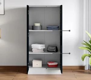 Godrej Interio Slimline 2 Door Almirah (2 Shelves, Pacific Blue) Smart Shelving