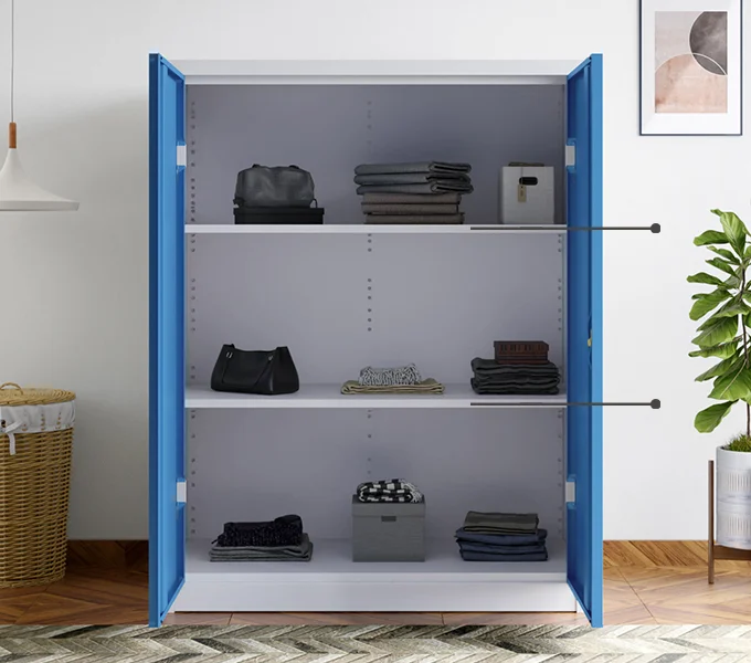 Godrej Interio StorEase 2 Door Minor With Steel Swing Doors(Pastel Blue) Adjustable Shelves