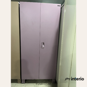 Godrej Interio Storwel Ace 2 Door Steel Almirah (Full Locker, Sepia Rose)