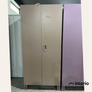 Godrej Interio Storwel Ace 2 Door Steel Almirah (Full Locker, Affogato)