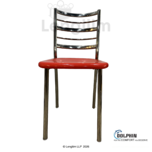 Dolphin DF 171 Multipurpose Stainless Steel Chair - Image 2