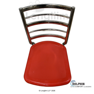 Dolphin DF 171 Multipurpose Stainless Steel Chair - Image 3