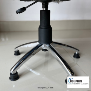 Dolphin DF 163 Revolving Stool with Back Panel - Image 2