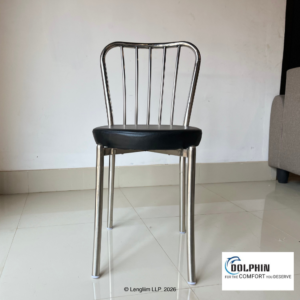 Dolphin DF 167 Stainless Steel Dining Chair - Image 1